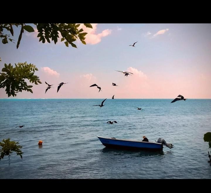 Photo of Others in Bahia Suroeste