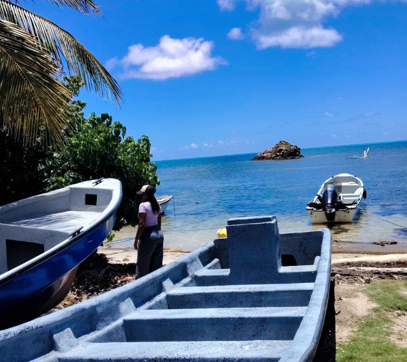 Photo of Others in Bahia Suroeste