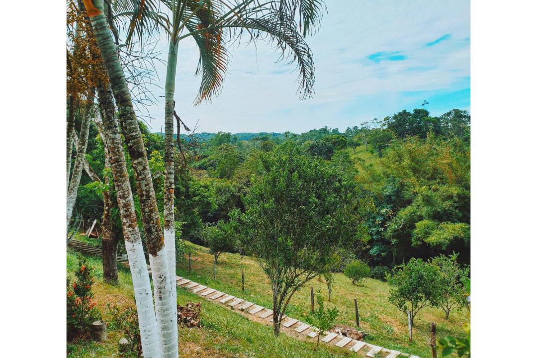 Photo of Others in Puerto Triunfo