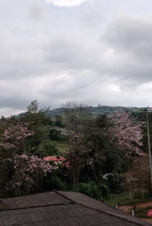 Photo of Others in La Cumbre