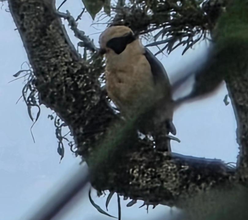 Photo of Others in San Antonio del Tequendama