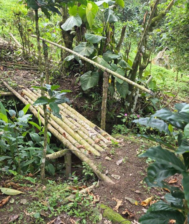 Photo of Others in San Antonio del Tequendama