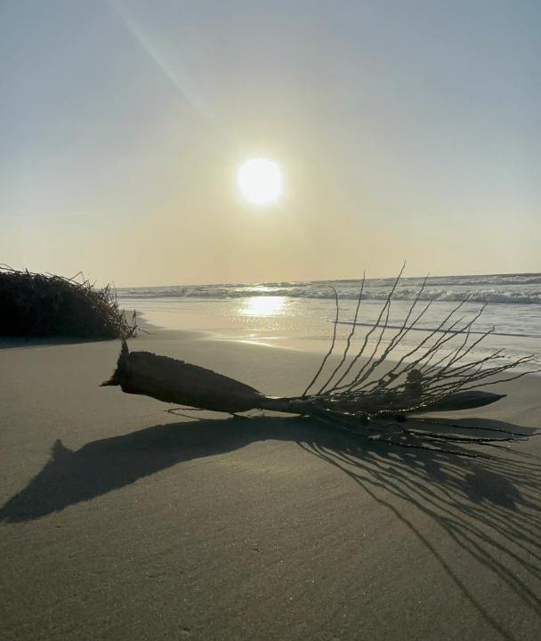 Photo of Others in San Bernardo del Viento