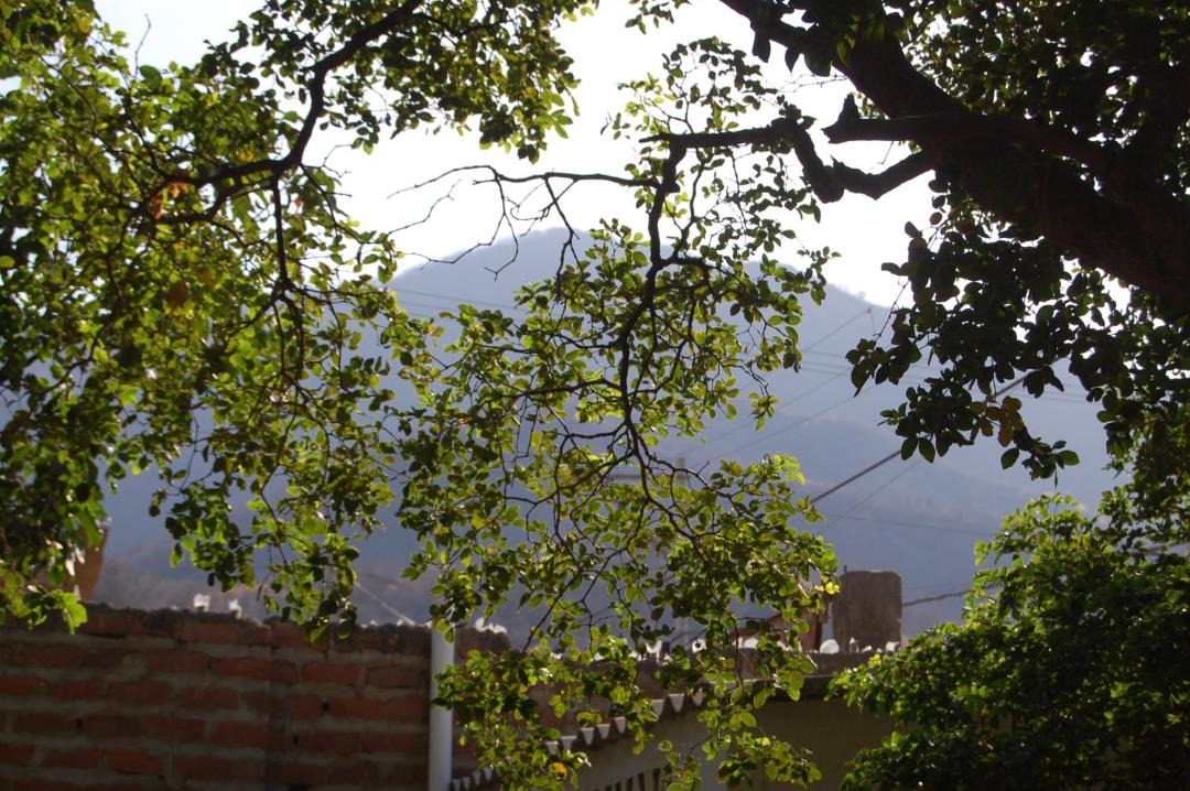 Photo of Others in Taganga