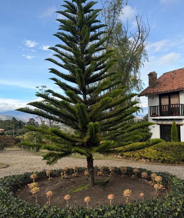 Photo of Others in Villa de Leyva
