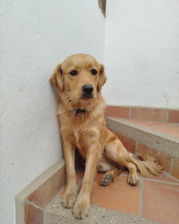 Photo of Others in Villa de Leyva