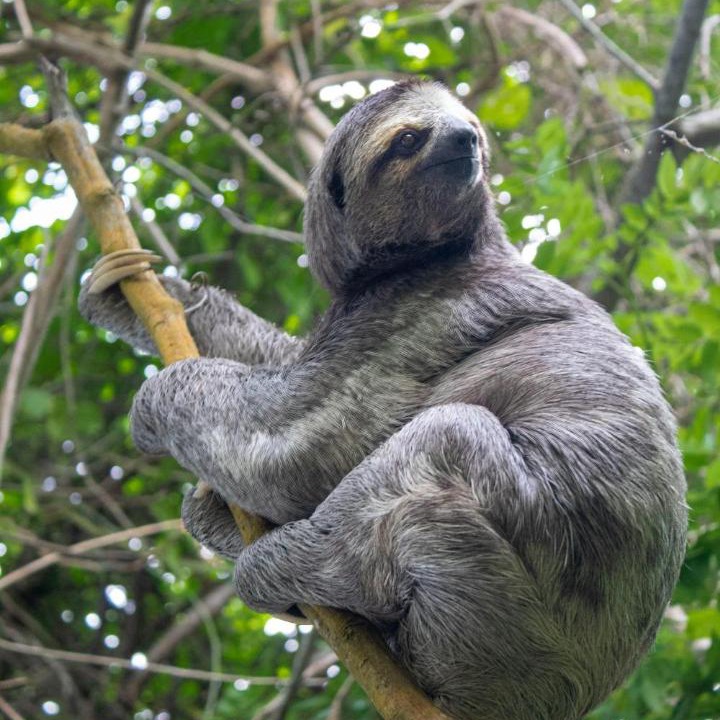 Photo of Others in Nuqui