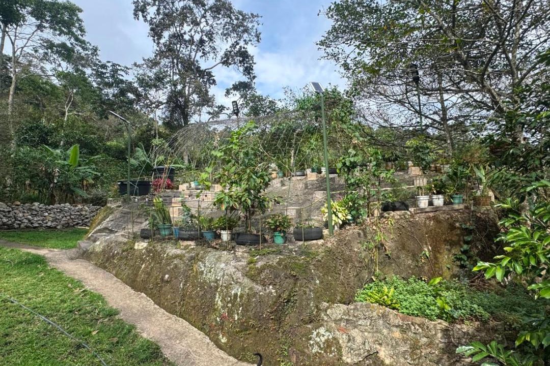 Photo of Others in Cachipay
