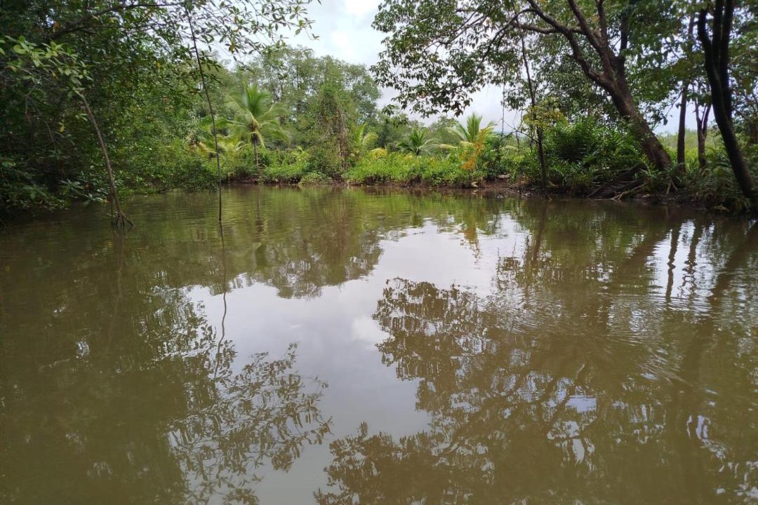 Photo of Others in Nuqui
