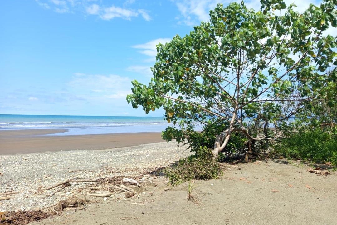 Photo of Others in Nuqui