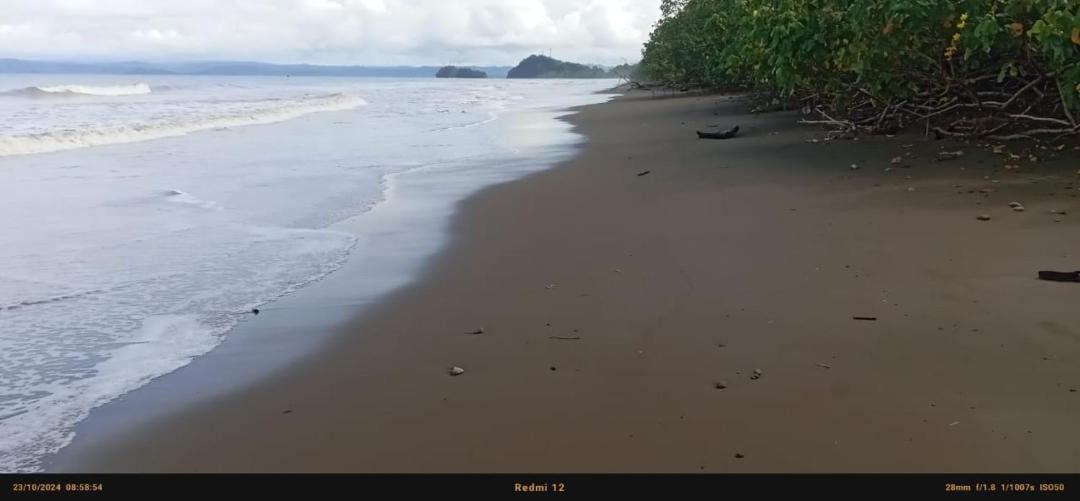 Photo of Others in Nuqui