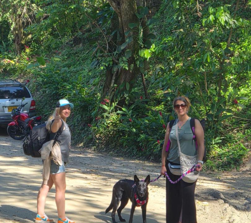 Photo of Others in Palomino