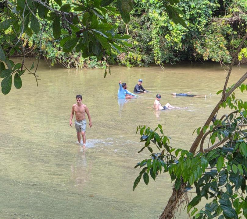 Photo of Others in Palomino