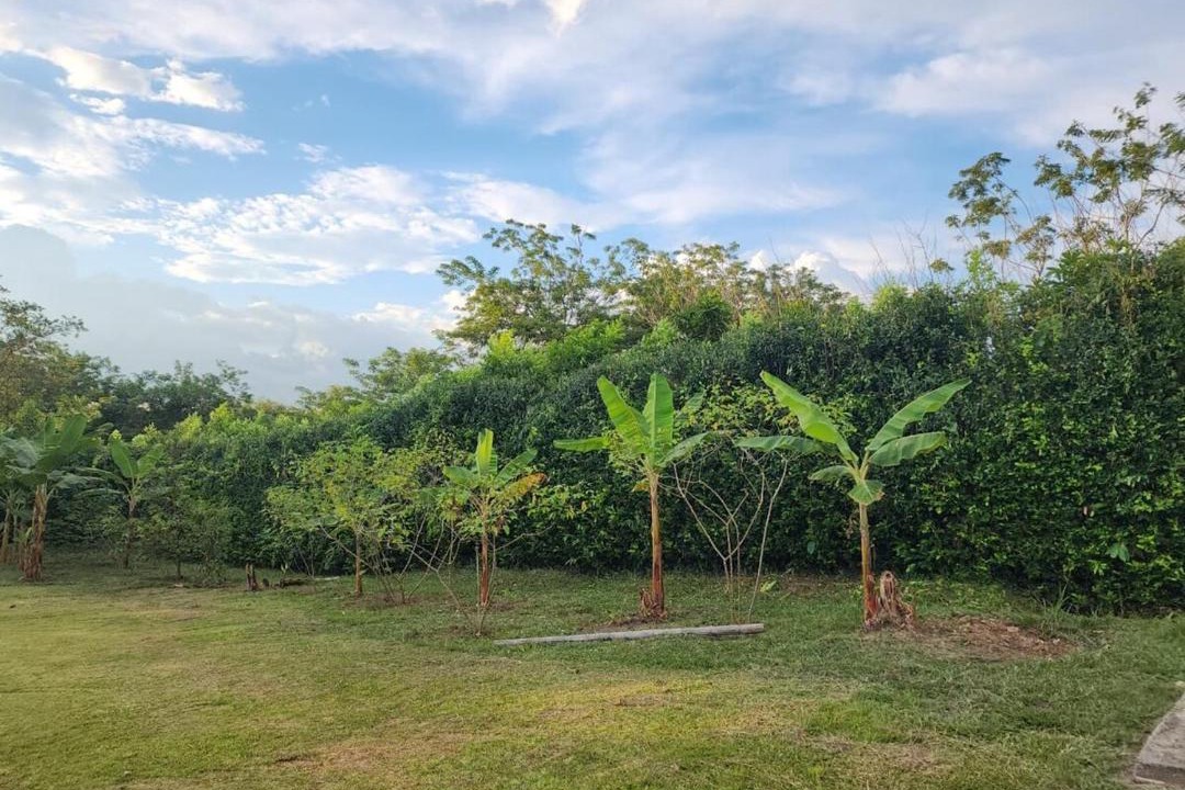 Photo of Outdoor in Pijao