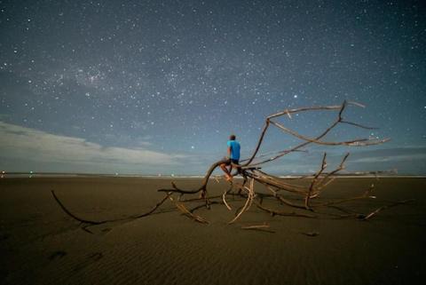 Photo of Others in Uramba National Park