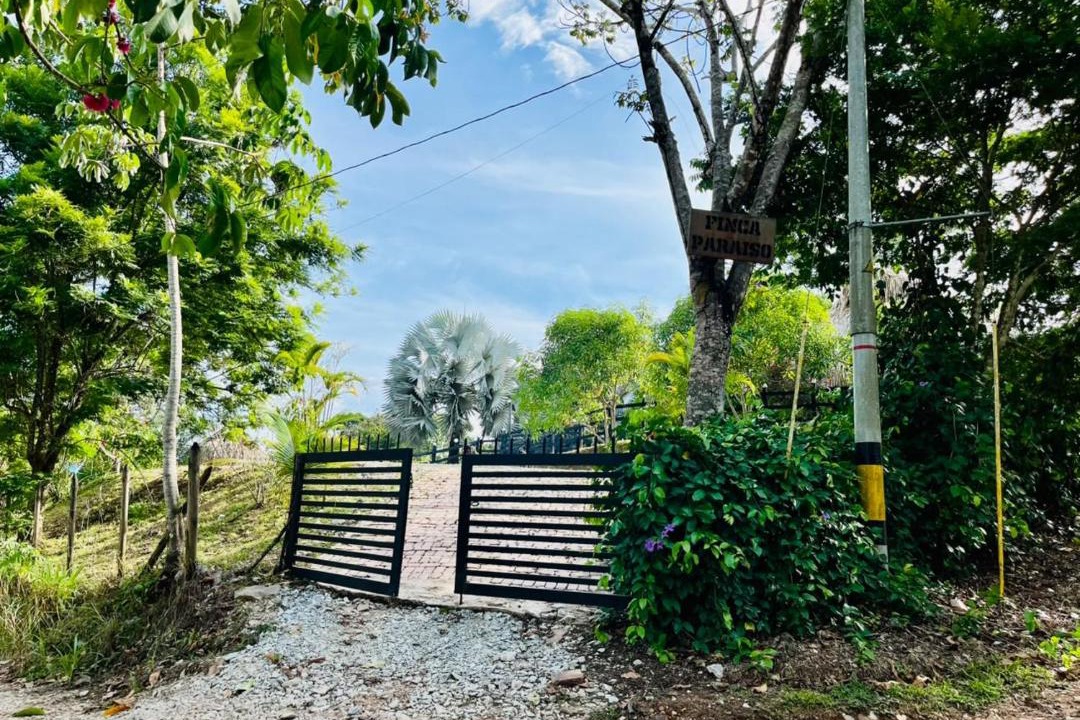 Photo of Outdoor in Puerto Triunfo