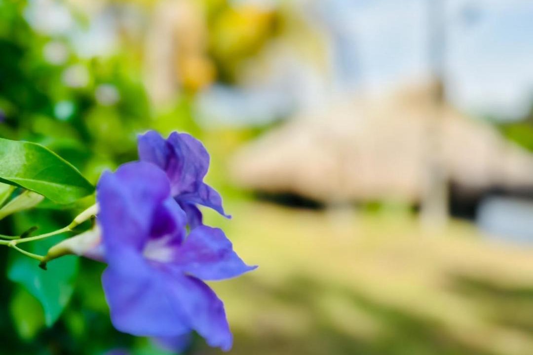 Photo of Others in Puerto Triunfo