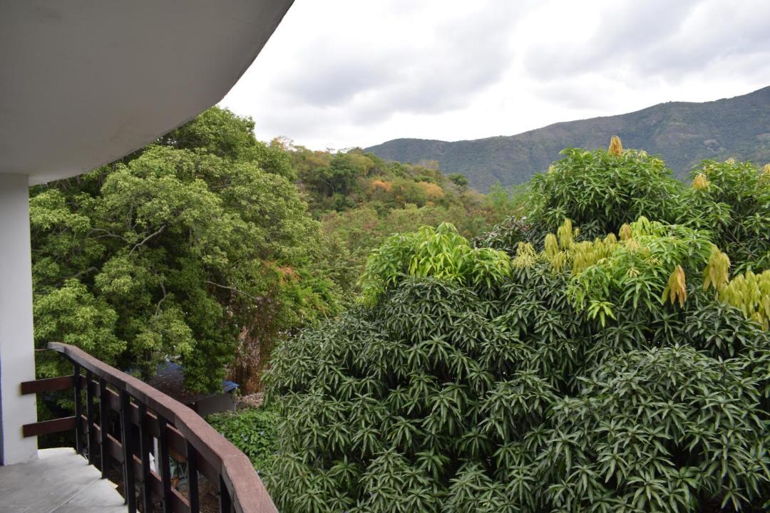 Photo of Others in Apulo