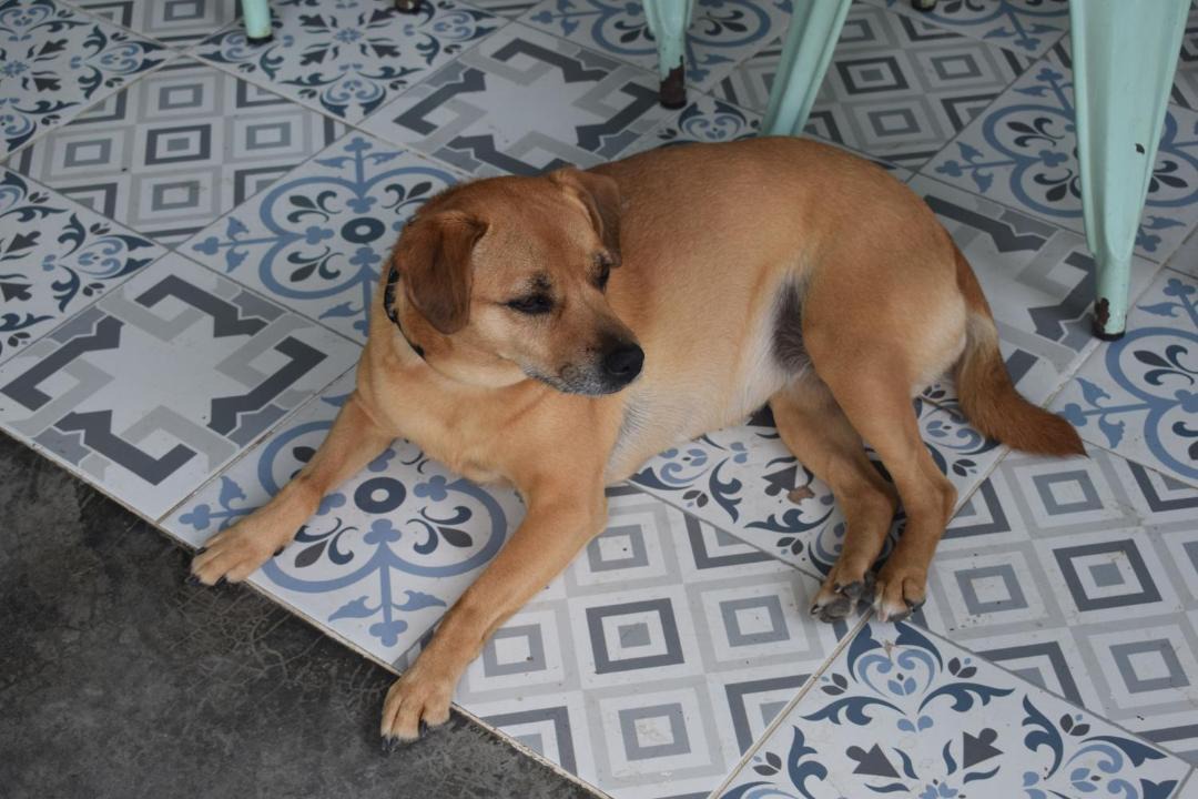Photo of Others in Apulo