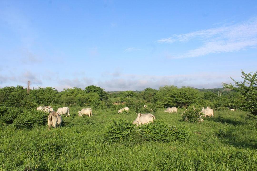 Photo of Others in Corozal