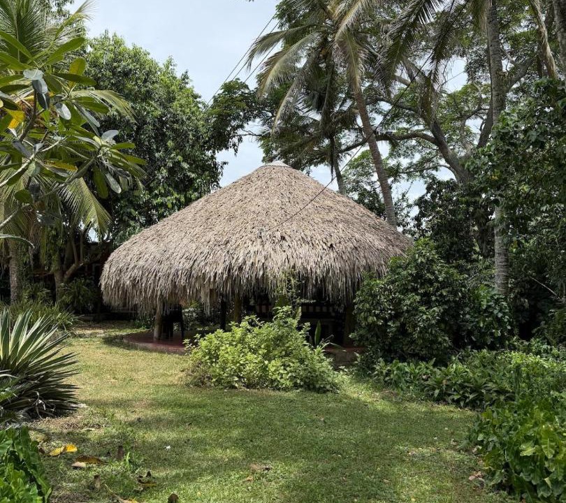 Photo of Others in Corozal