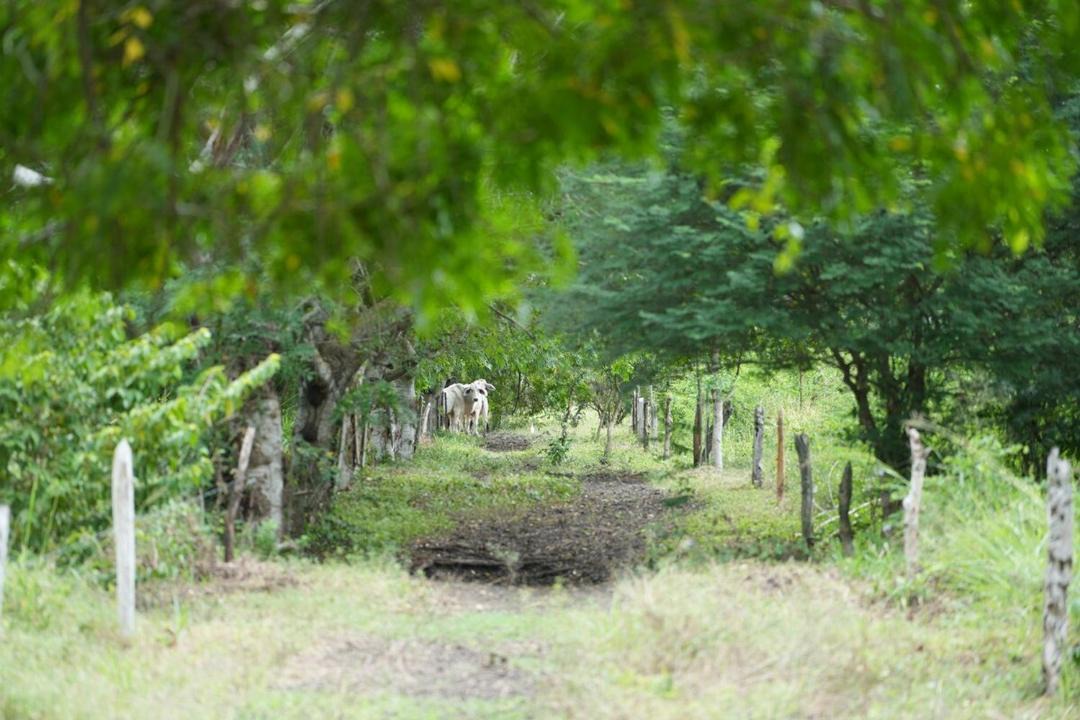 Photo of Others in Corozal