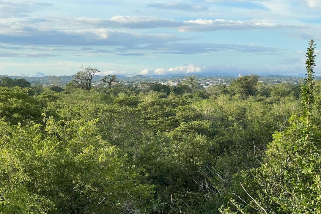 Photo of Others in Corozal