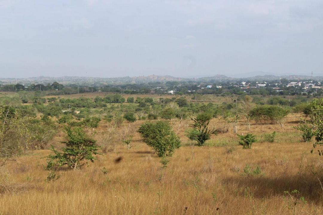 Photo of Others in Corozal