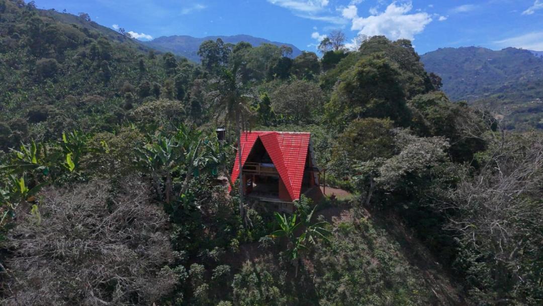 Photo of Others in Andes