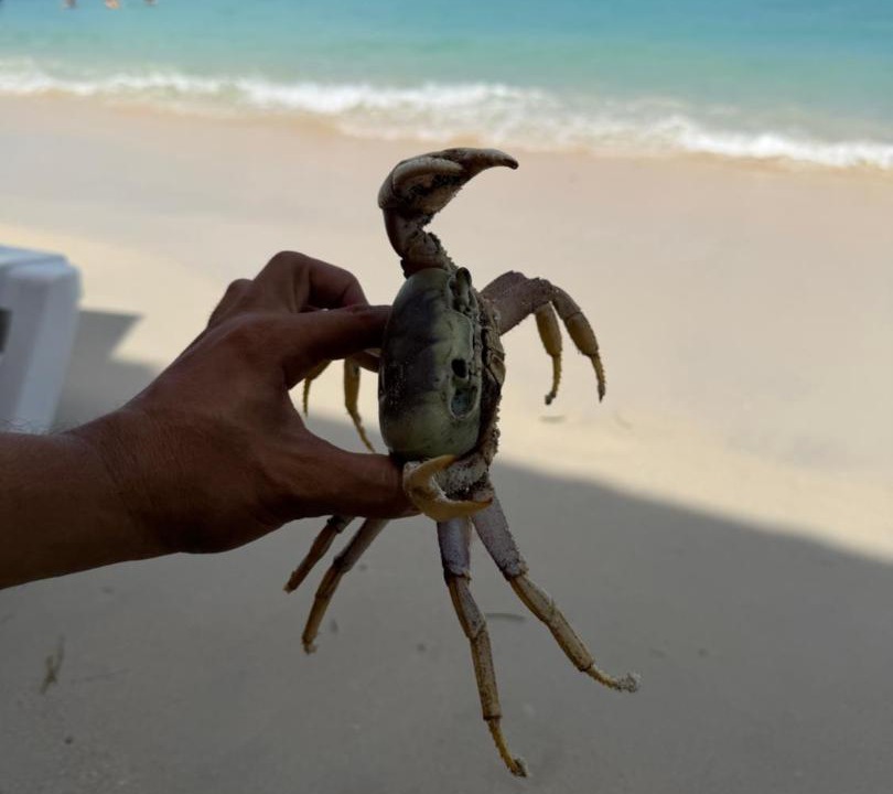 Photo of Others in Bocachica