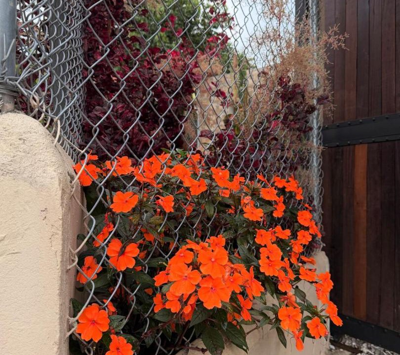 Photo of Others in San Rafael