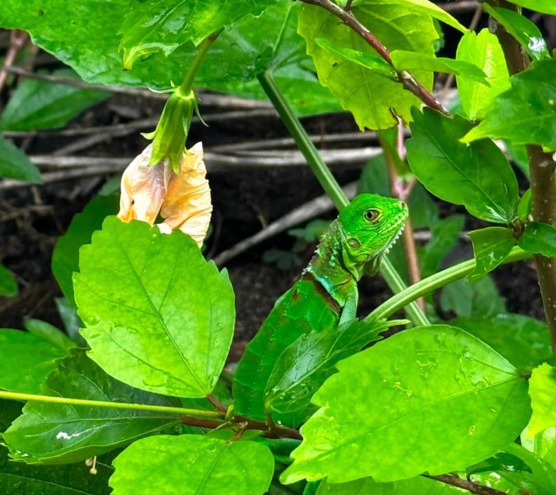 Photo of Outdoor in Nuqui