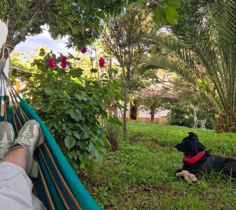 Photo of Others in Villa de Leyva