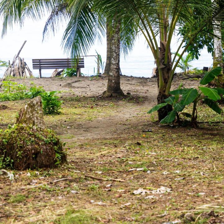 Photo of Others in Bahia Solano