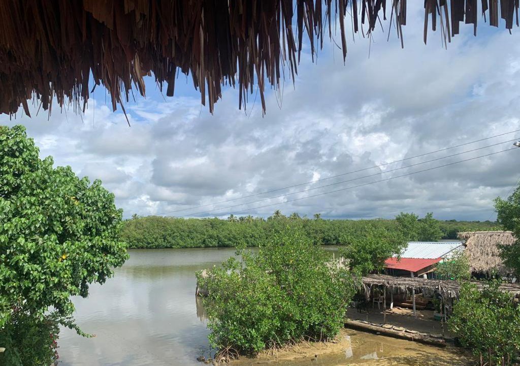 Photo of Others in Rincon