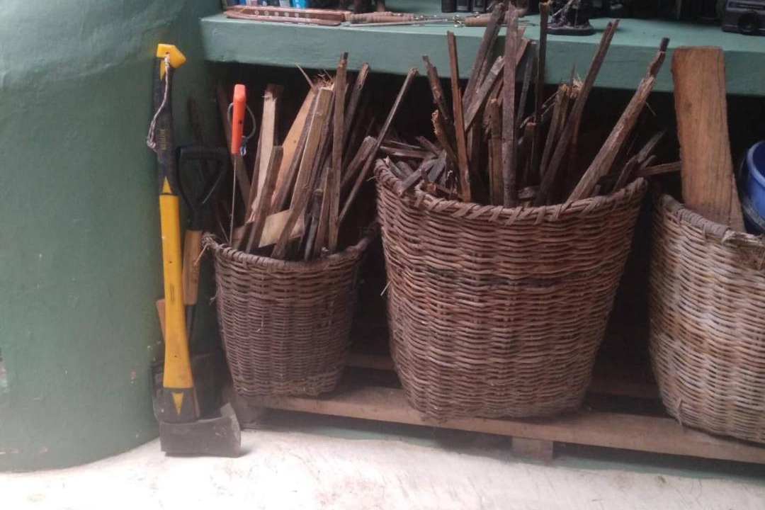 Photo of Others in Medellin