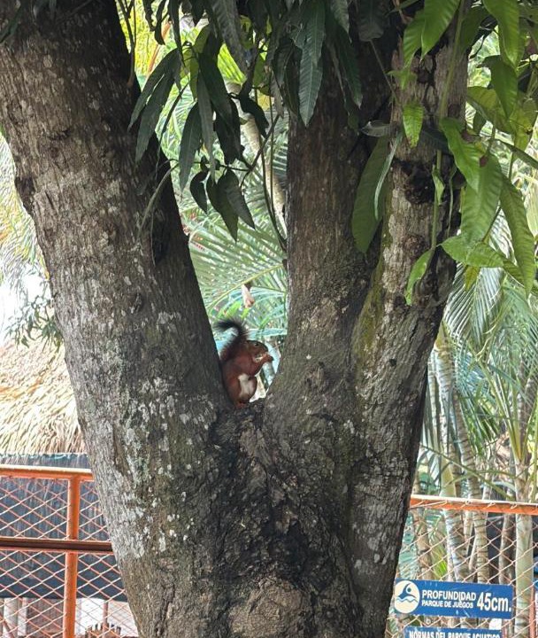 Photo of Others in Monteria