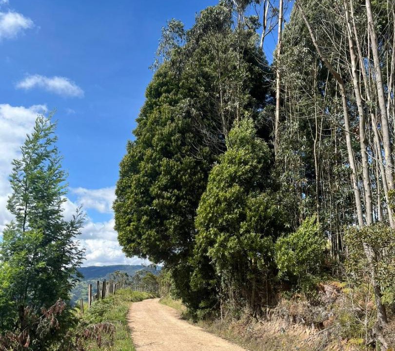 Photo of Outdoor in Subachoque