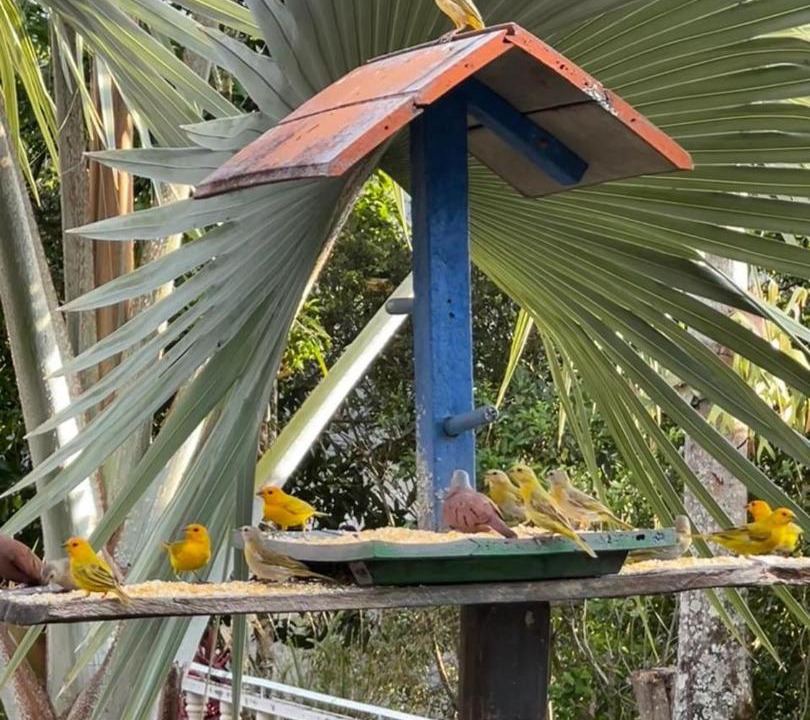 Photo of Others in La Vega
