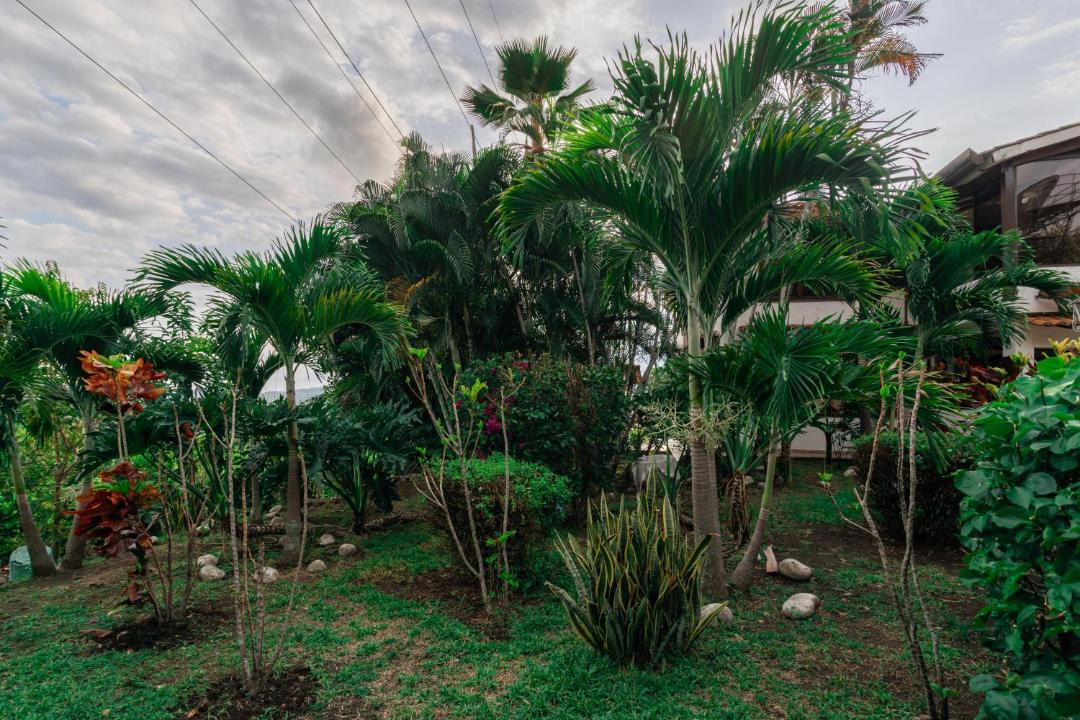 Photo of Others in Anapoima