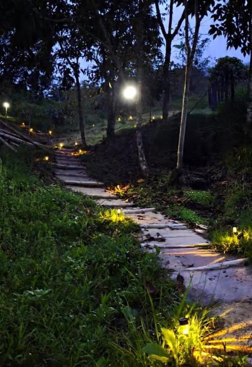 Photo of Others in Cocorna