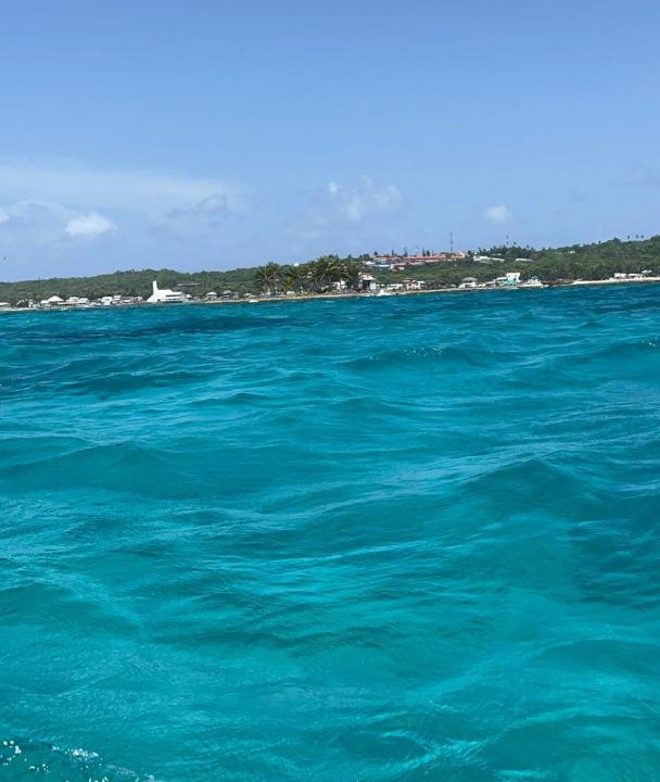 Photo of Others in Punta Sur