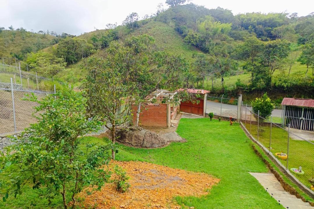 Photo of Others in El Queremal