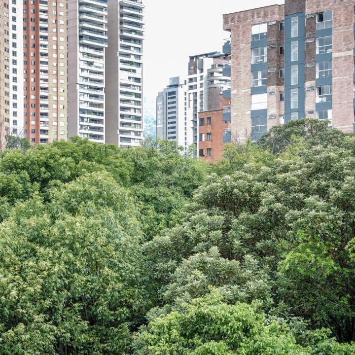 Photo of Others in El Poblado