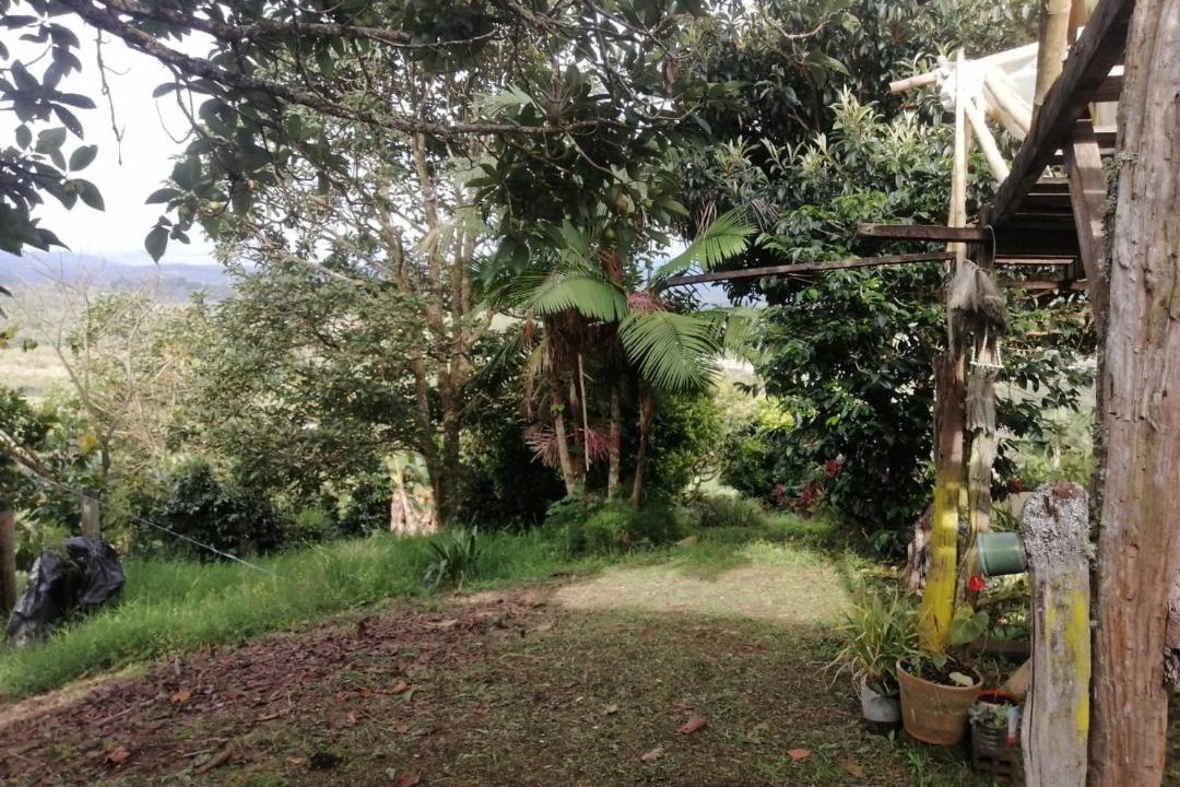Photo of Others in San Agustin