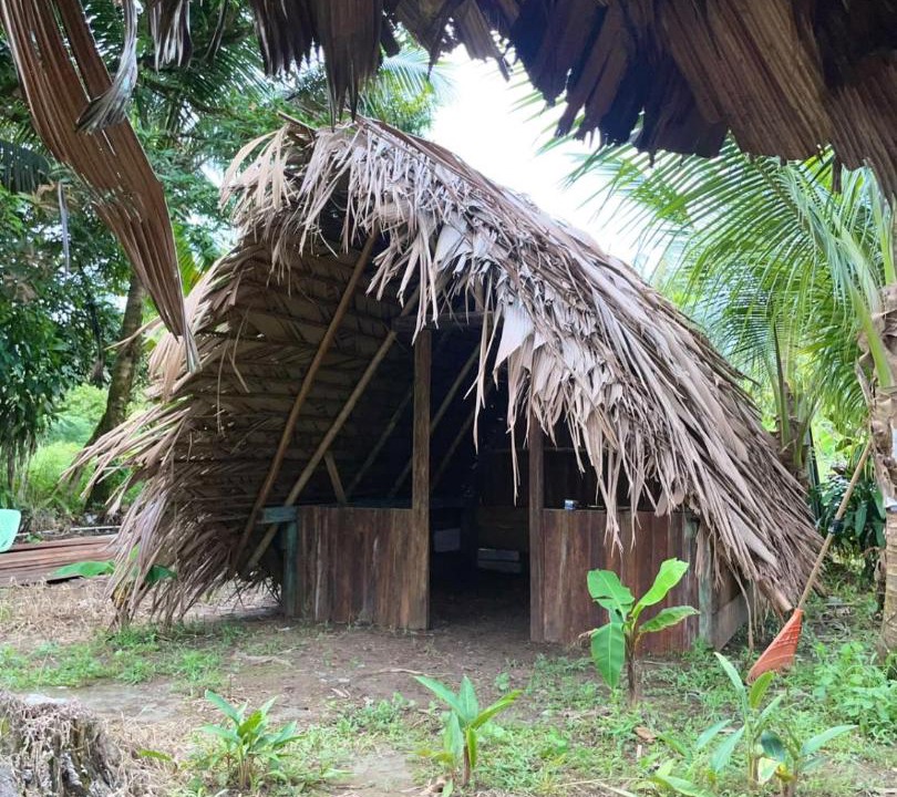 Photo of Others in Uramba National Park