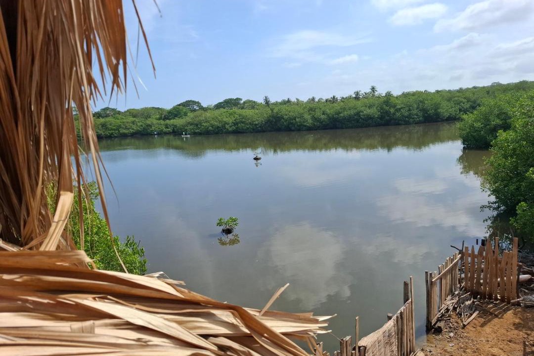 Photo of Others in Rincon