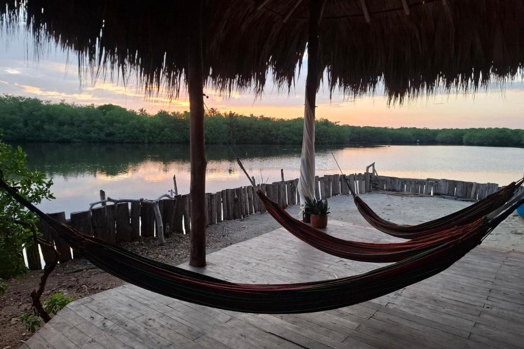 Photo of Others in Rincon