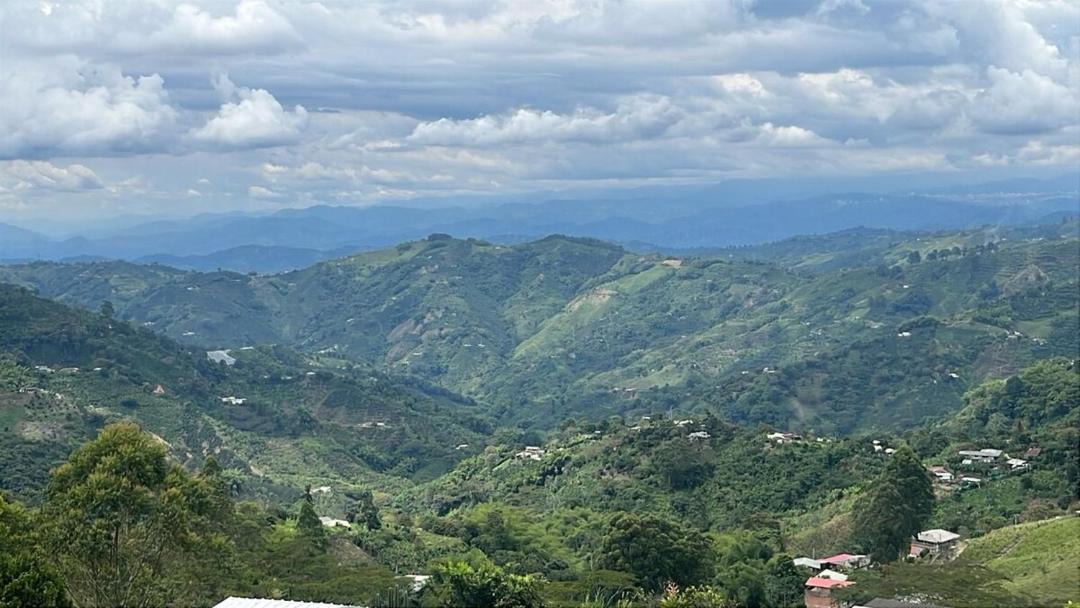 Photo of Others in Pereira