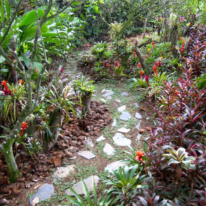 Photo of Others in Pereira